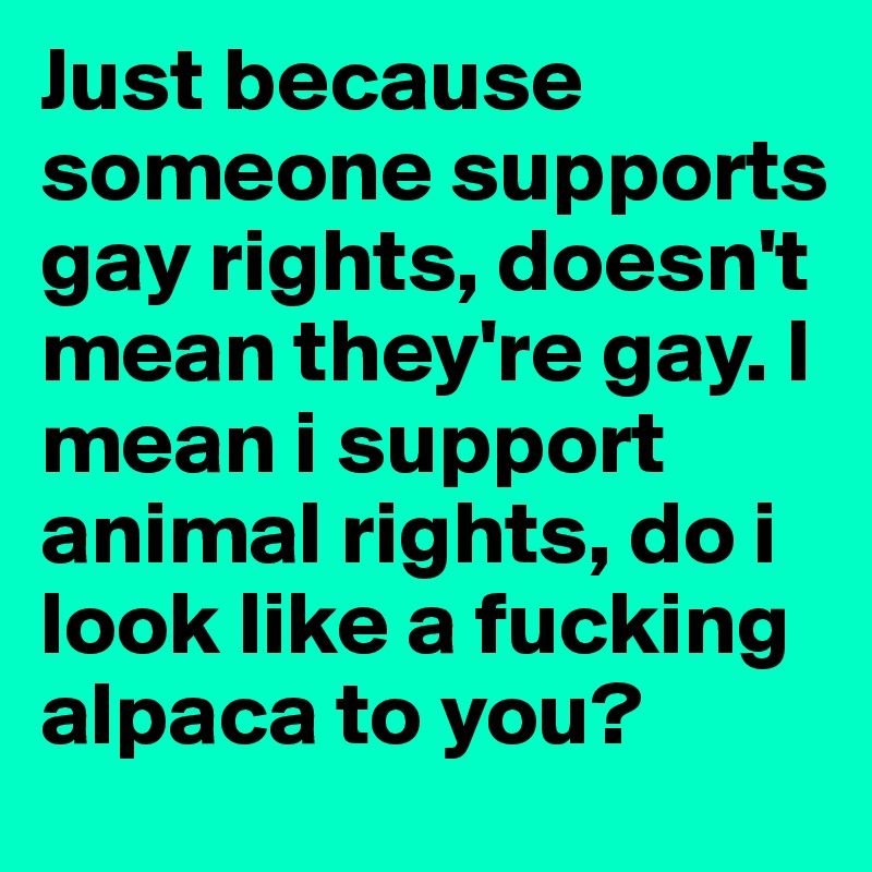 Just because someone supports gay rights, doesn't mean they're gay. I mean i support animal rights, do i look like a fucking alpaca to you? 