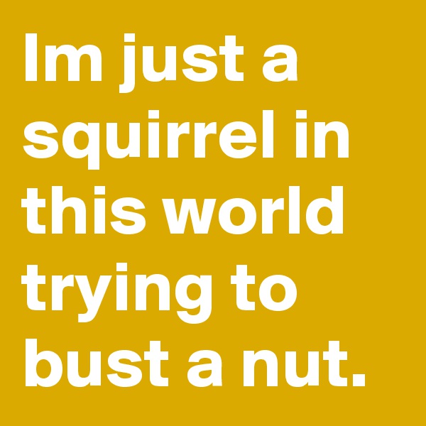 Im just a squirrel in this world trying to bust a nut.
