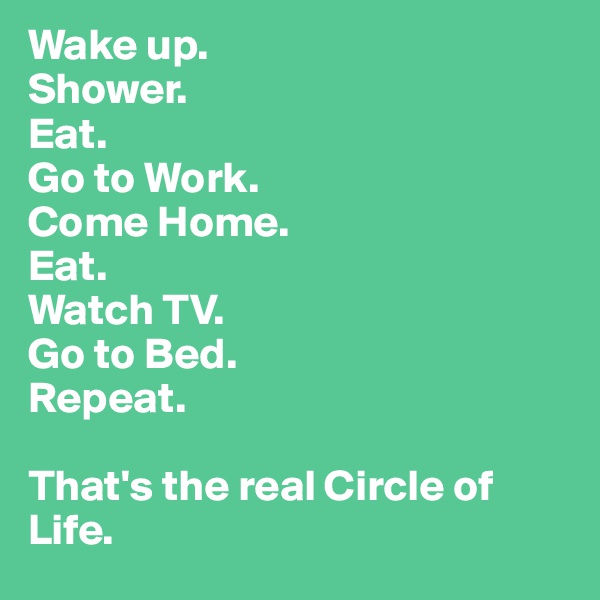 Wake up.
Shower.
Eat.
Go to Work.
Come Home.
Eat.
Watch TV.
Go to Bed. 
Repeat.

That's the real Circle of Life.
