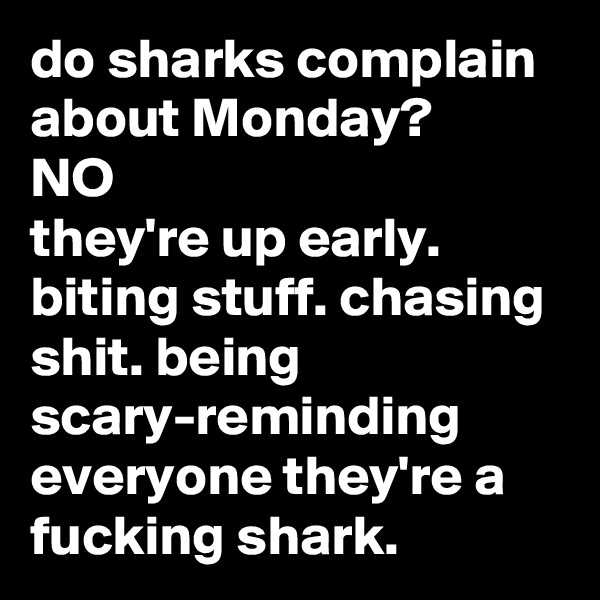 do sharks complain about Monday?
NO
they're up early. biting stuff. chasing shit. being scary-reminding everyone they're a fucking shark.