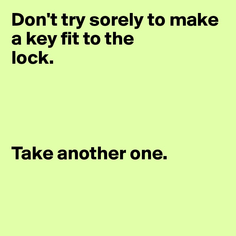 Don't try sorely to make a key fit to the 
lock.




Take another one.


