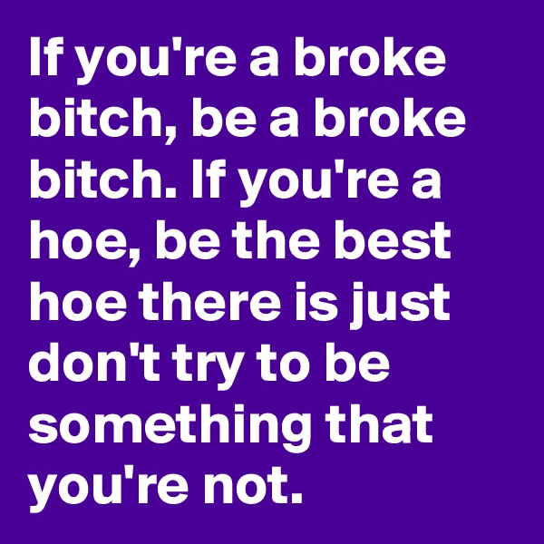 If you're a broke bitch, be a broke bitch. If you're a hoe, be the best hoe there is just don't try to be something that you're not.