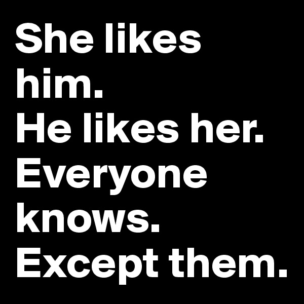 She likes him. 
He likes her. Everyone knows. Except them.
