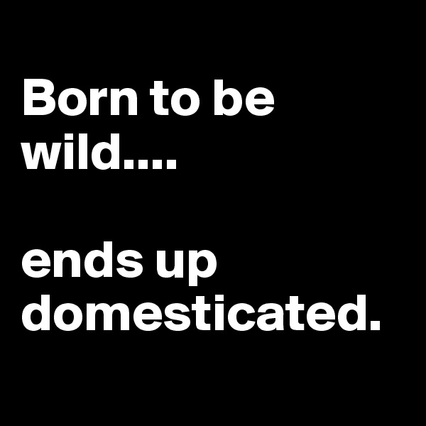 
Born to be wild....

ends up domesticated.

