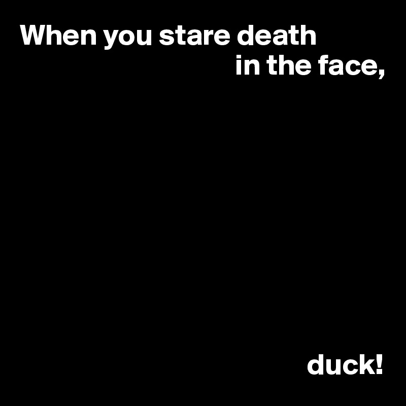 When you stare death
                                    in the face,









                                                duck!