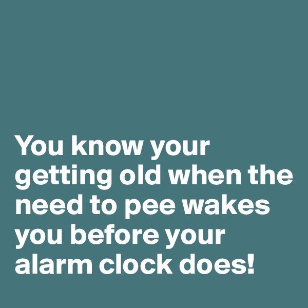 



You know your getting old when the need to pee wakes you before your alarm clock does!