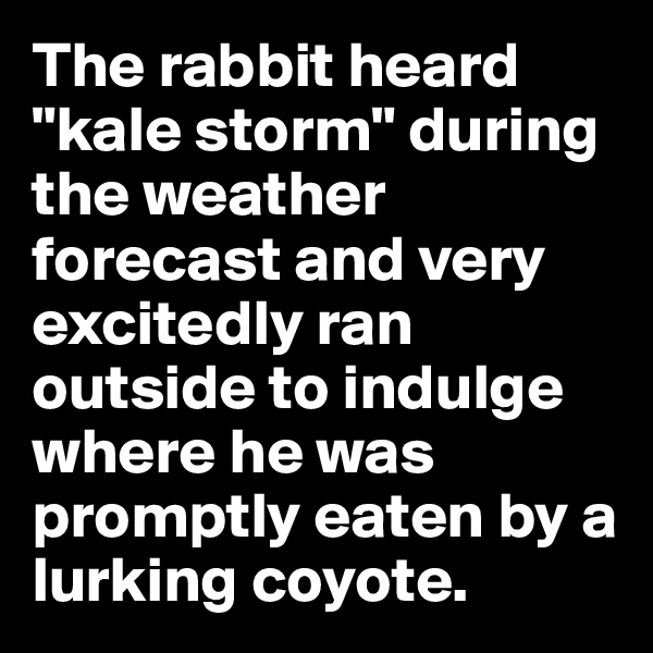 The rabbit heard "kale storm" during the weather forecast and very excitedly ran outside to indulge where he was promptly eaten by a lurking coyote. 