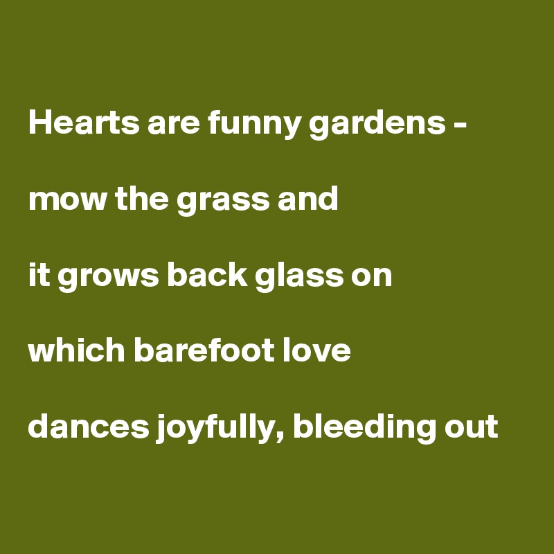

Hearts are funny gardens -

mow the grass and

it grows back glass on

which barefoot love 

dances joyfully, bleeding out  

