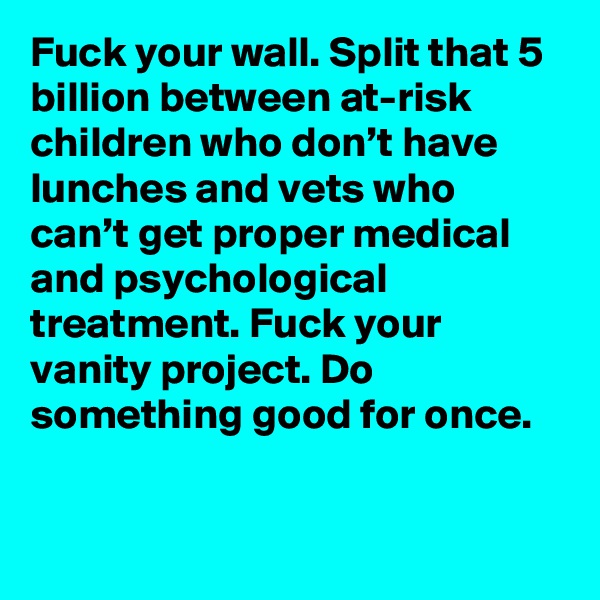 Fuck your wall. Split that 5 billion between at-risk children who don’t have lunches and vets who can’t get proper medical and psychological treatment. Fuck your vanity project. Do something good for once.
