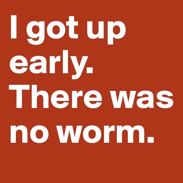 I got up early. There was no worm. 