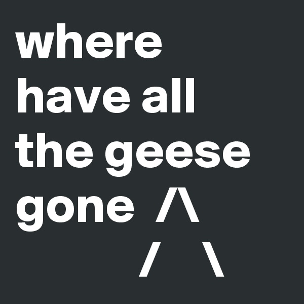 where have all the geese gone  /\                    /    \