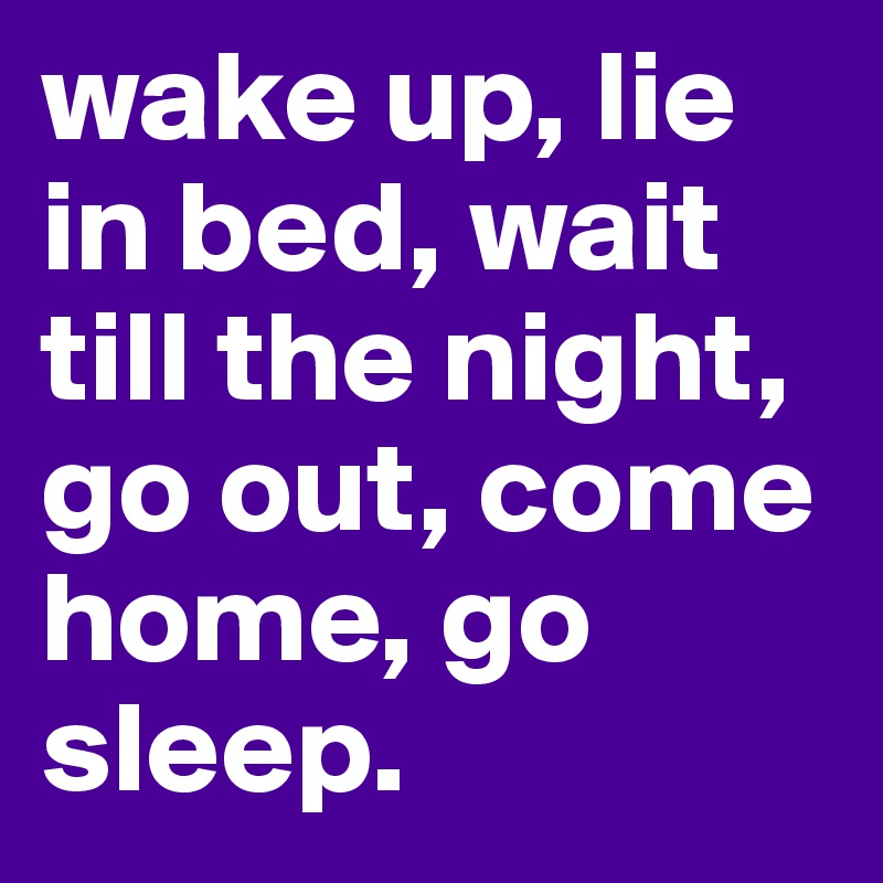 wake up, lie in bed, wait till the night, go out, come home, go sleep.