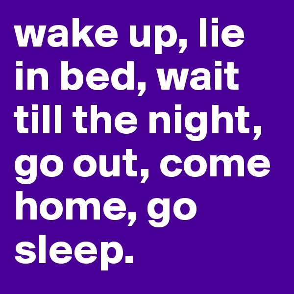 wake up, lie in bed, wait till the night, go out, come home, go sleep.