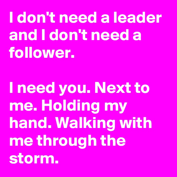 I don't need a leader and I don't need a follower.

I need you. Next to me. Holding my hand. Walking with me through the storm.