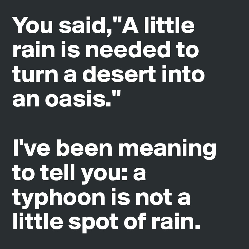 You said,"A little rain is needed to turn a desert into an oasis."

I've been meaning to tell you: a typhoon is not a little spot of rain.