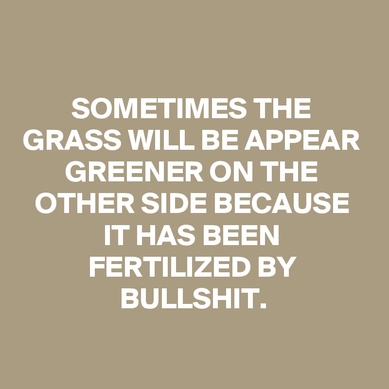 

SOMETIMES THE GRASS WILL BE APPEAR GREENER ON THE OTHER SIDE BECAUSE IT HAS BEEN FERTILIZED BY BULLSHIT.

