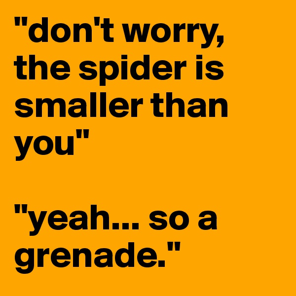 "don't worry, the spider is smaller than you"

"yeah... so a grenade."
