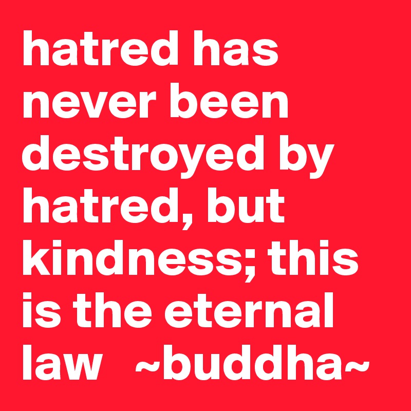 hatred has never been destroyed by hatred, but kindness; this is the eternal law   ~buddha~