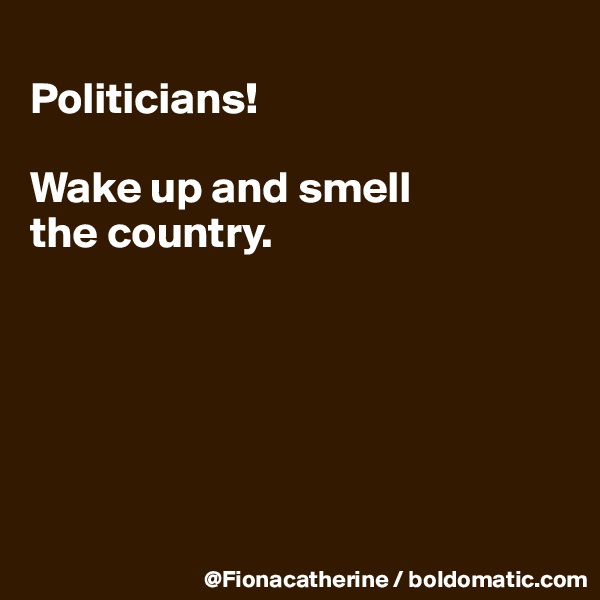 
Politicians!

Wake up and smell
the country.






