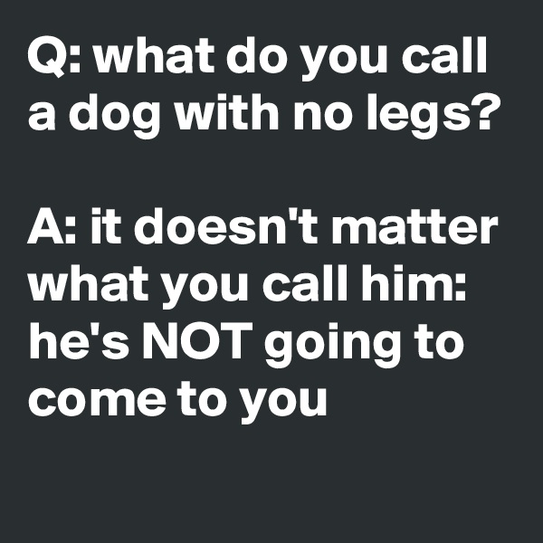 Q: what do you call a dog with no legs?

A: it doesn't matter what you call him: he's NOT going to come to you