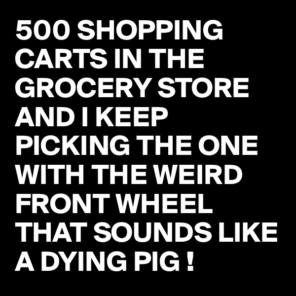 500 SHOPPING CARTS IN THE GROCERY STORE AND I KEEP PICKING THE ONE WITH THE WEIRD FRONT WHEEL THAT SOUNDS LIKE A DYING PIG !