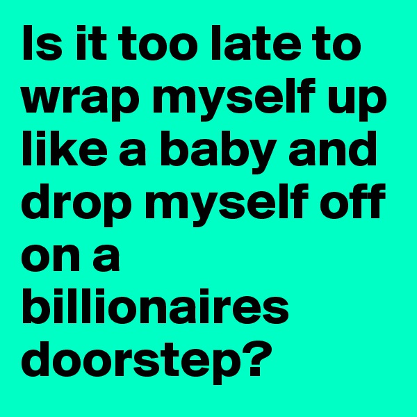 Is it too late to wrap myself up like a baby and drop myself off on a billionaires doorstep?