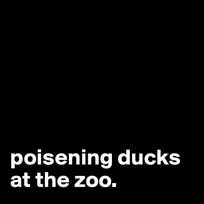 





poisening ducks at the zoo.