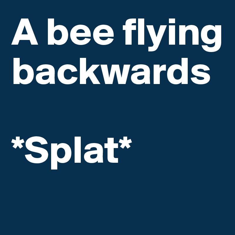 A bee flying backwards

*Splat*
