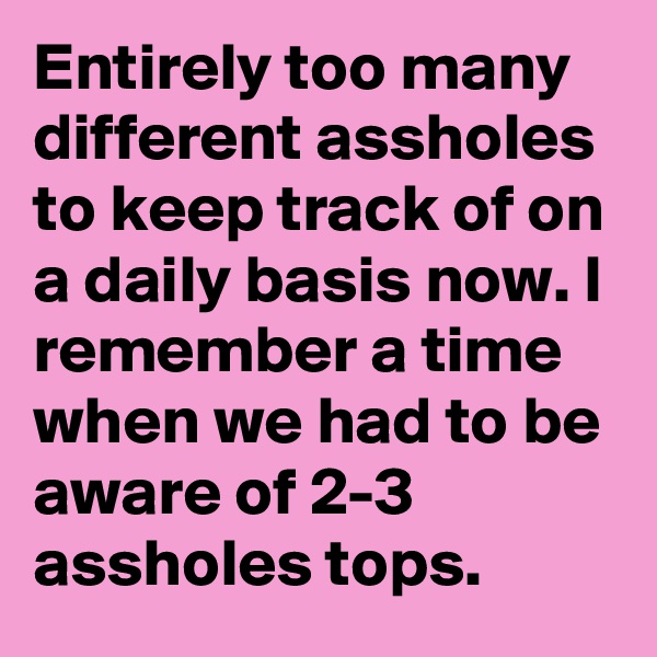 Entirely too many different assholes to keep track of on a daily basis now. I remember a time when we had to be aware of 2-3 assholes tops.