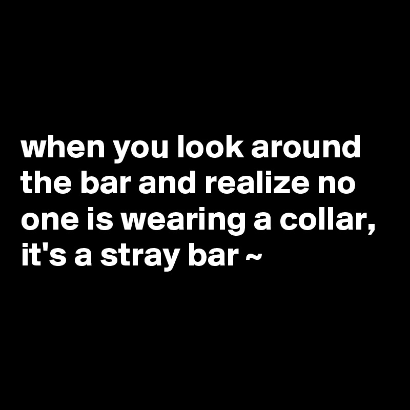 


when you look around the bar and realize no one is wearing a collar, it's a stray bar ~ 


