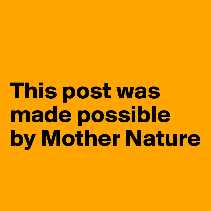 


This post was made possible by Mother Nature

