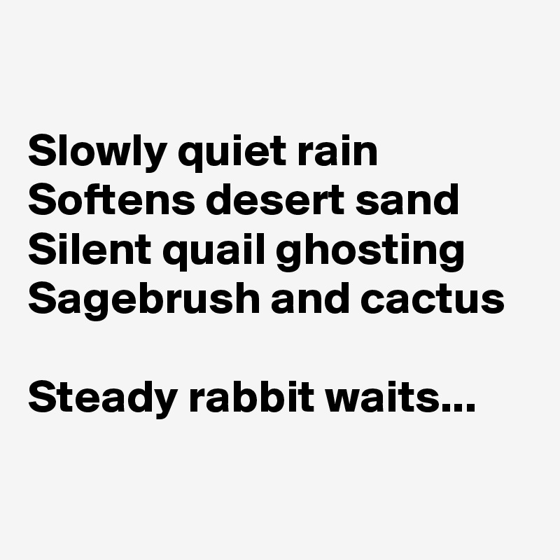 

Slowly quiet rain
Softens desert sand
Silent quail ghosting
Sagebrush and cactus

Steady rabbit waits...

