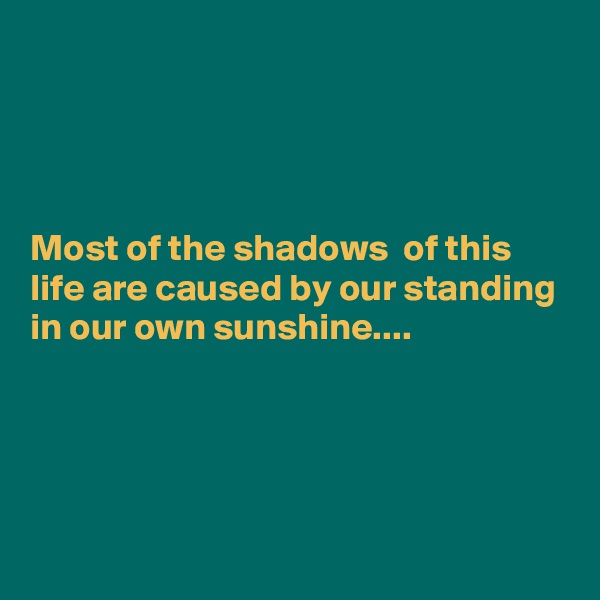 




Most of the shadows  of this life are caused by our standing in our own sunshine....




