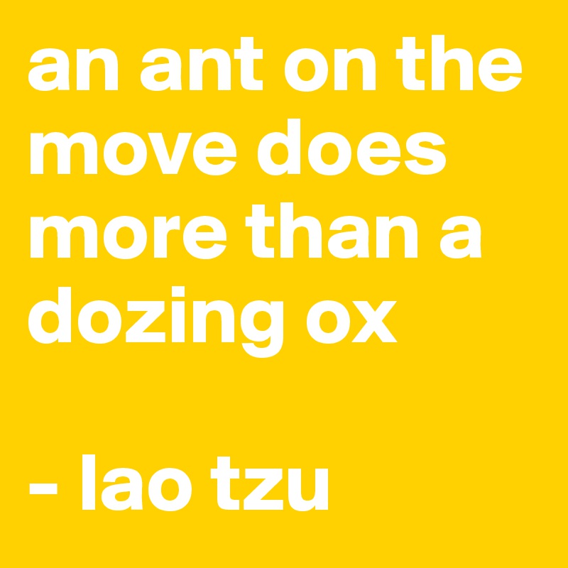 an ant on the move does more than a dozing ox

- lao tzu