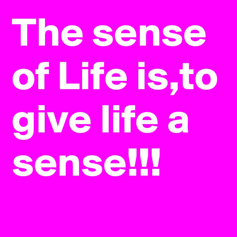 The sense of Life is,to give life a sense!!! 