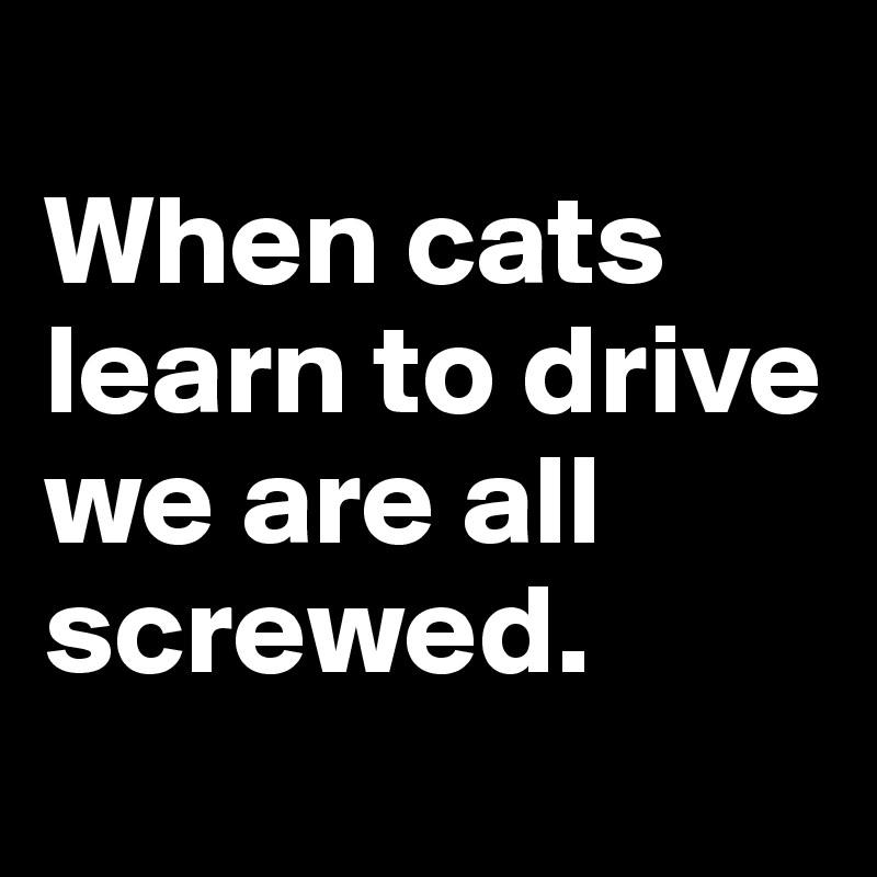 
When cats learn to drive we are all screwed.
