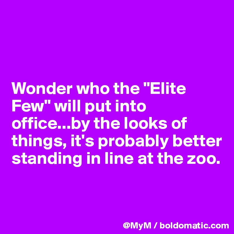 



Wonder who the "Elite Few" will put into office...by the looks of things, it's probably better standing in line at the zoo.

