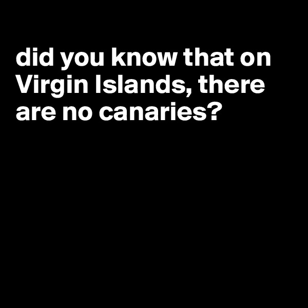
did you know that on Virgin Islands, there are no canaries?






