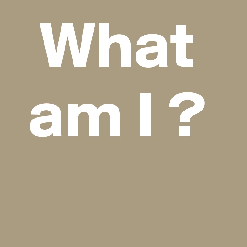 What am I ?