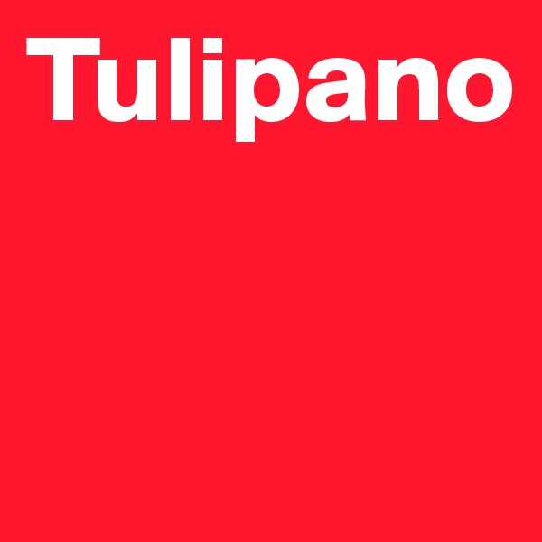 Tulipano


