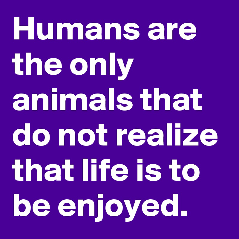 Humans are the only animals that do not realize that life is to be enjoyed.