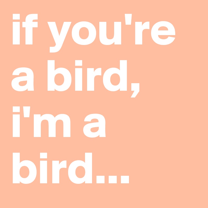 if you're a bird, i'm a bird...