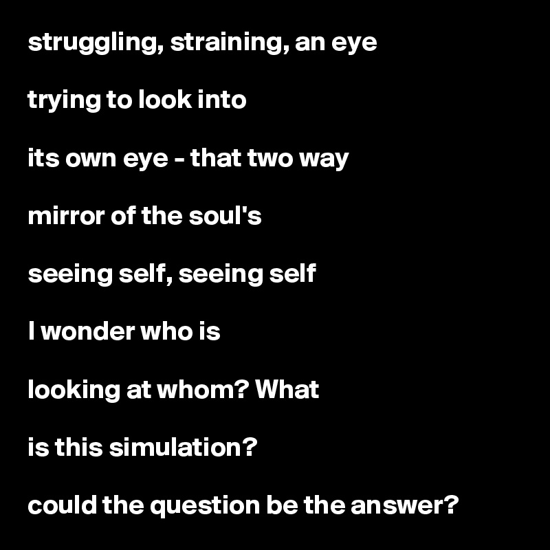 struggling, straining, an eye

trying to look into

its own eye - that two way

mirror of the soul's

seeing self, seeing self

I wonder who is

looking at whom? What

is this simulation?

could the question be the answer?    