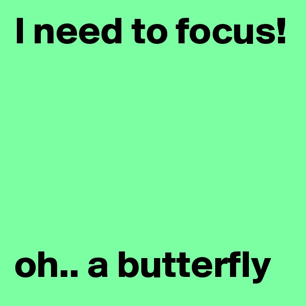 I need to focus! 





oh.. a butterfly