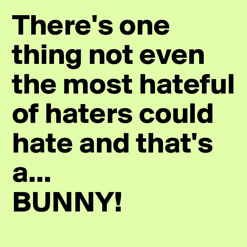 There's one thing not even the most hateful of haters could hate and that's a...
BUNNY!