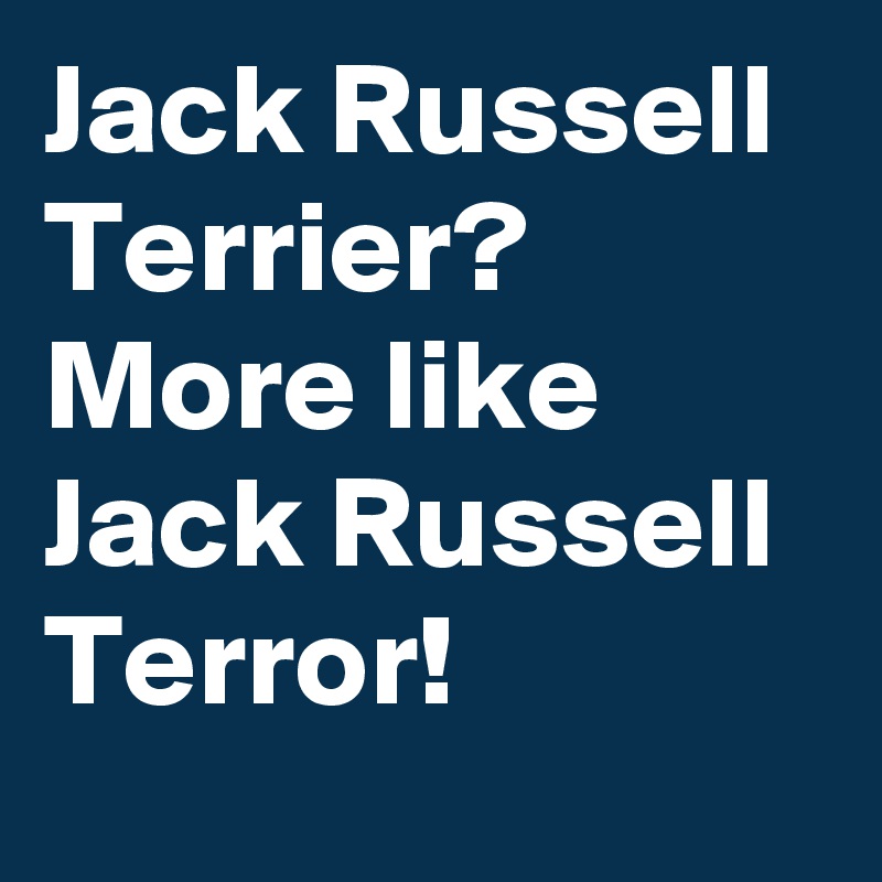 Jack Russell Terrier? More like Jack Russell Terror!
