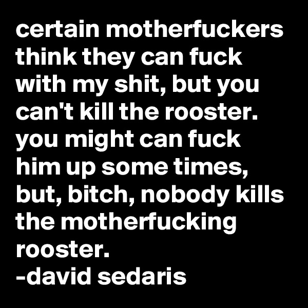 certain motherfuckers think they can fuck with my shit, but you can't kill the rooster.  you might can fuck him up some times, but, bitch, nobody kills the motherfucking rooster.
-david sedaris