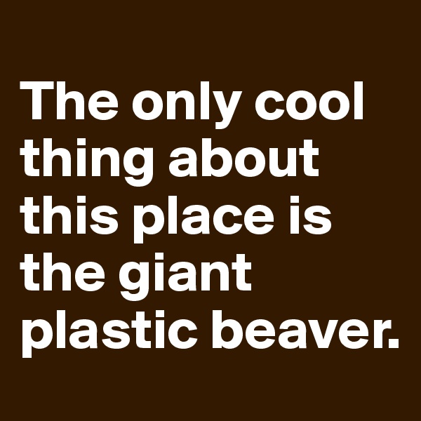 
The only cool thing about this place is the giant plastic beaver. 