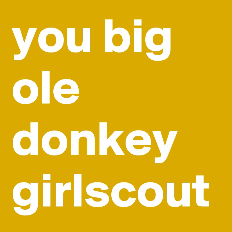 you big ole donkey girlscout