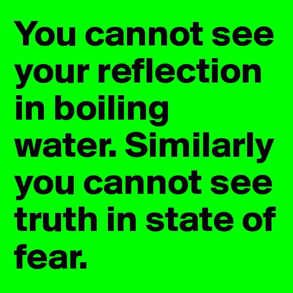 You cannot see your reflection in boiling water. Similarly you cannot see truth in state of fear.